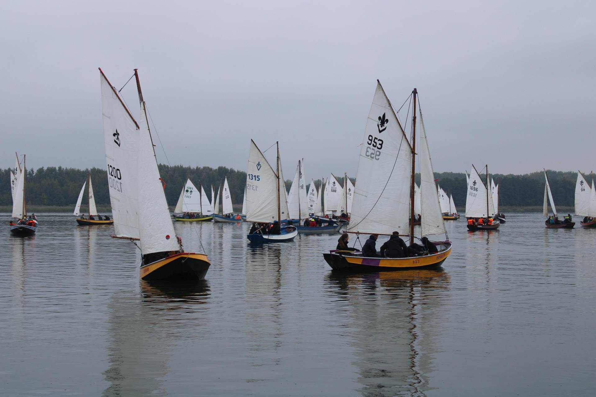 09df84a5-b2f6-4ffd-abc9-c5159969fa43_original